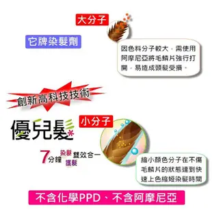 【優兒髮】美魔女泡泡染髮劑／盒-咖啡金