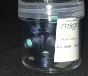 Fil-Tec Magna-Glide Delights Style L 72yd Pre-wound Bobbins Navy 20 Per Jar NEW