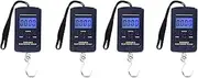 Mellisso 4X Portable Plastic Electric Digital Hanging Scale with Hook Tool Fishing Luggage Different Units Conversions