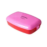 在飛比找momo購物網優惠-【瑞典Frozzypack】隨身冷藏餐盒-大容量系列-粉紅/