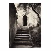 Parisian Steps Canvas Print