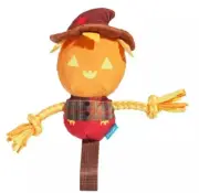Bark Jack Crow Lantern Dog Toy All Dog Sizes Tug Of War Halloween Squeaker