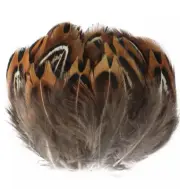 50pcs Natural Petite 3-4cm Real Pheasant Plumage Feathers DIY Art Craft Jewelery