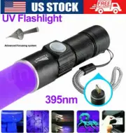Mini 395nm UV Light Blacklight LED Flashlight Purple Lamp USB Rechargeable Torch