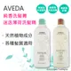 AVEDA 肯夢 純香洗髮菁 / 迷迭薄荷洗髮精 1000ml 髮廊版 純香洗髮精 洗髮水 洗髮乳 潤髮乳 潤髮