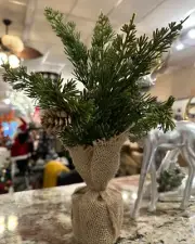Small Pine Tree With Pinecone In Burlap Base
