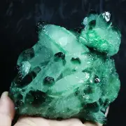 1.78 lb RARE ! New Find Natural Beatiful Green Quartz Crystal Cluster Specimen