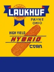 Laukhuf Hybird Seed Corn, Payne OhiO NEW METAL SIGN: 12x16" and Free Ship.