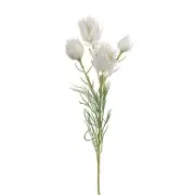 Artificial Silk Australian Native Blushing Bride Flower Spray - White (4 heads)