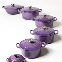 在飛比找蝦皮購物優惠-Le Creuset 🇫🇷星河紫 葡萄紫 鑄鐵鍋 16cm 