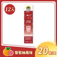 在飛比找PChome24h購物優惠-森萊富 SUNLIFE 鐵+C 發泡錠-葡萄柚口味 20錠/