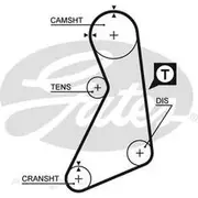 Gates Timing Belt - T790