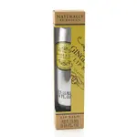 NATURALLY EUROPEAN LIP BALM/ GINGER & LIME/ 15ML ESLITE誠品