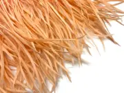 1 YARD - Peach Goose Biots Stripped Wing Wholesale Feather Trim Bulk Supply