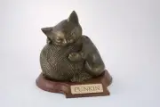 Small 40 Cubic Inches Bronze Precious Kitty Urn for Ashes with Engravable Base