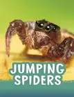 Jumping Spiders by Jaclyn Jaycox Paperback Book