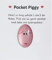 A Little Pocket Hug Gift Card,Carry Encouraging Message to Hug Whoever Needs,Mini Cute Pocket Pig Hug Animal Decoration Special Encouragement for Birthday Valentines Thanksgiving