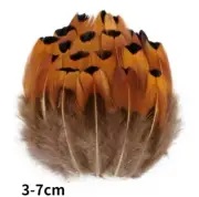 10pcs Natural Pheasant Peacock Plumage Feathers Craft Fly Fishing Fascinator