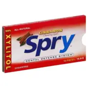 Xlear Spry Gum Blister Tray Cinnamon Flavor 10 Count Case of 20