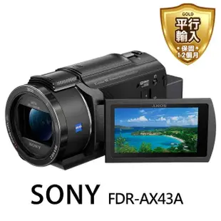 【SONY 索尼】FDR-AX43A數位攝影機*(平行輸入)