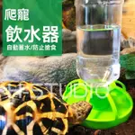 🔥自動飲水器 水盆 陸龜 飲水盤 食盆 烏龜 爬蟲箱 星龜 象龜 爬蟲 飲水 寵物用品 餵食 陸龜半水龜蘇卡達蜥蜴爬蟲