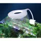 5W USB LED燈 補光燈 夾燈 led 夾燈水族 魚缸夾燈 桌燈 水草燈 燈具魚缸燈