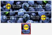 Code 3 Adhesive Vinyl Trailer Decals - LIDL Livery - 1/50 1/64 1/76 1/148