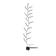 NNEOBA Tree Branch Vine Light 8 Modes (96Leds)
