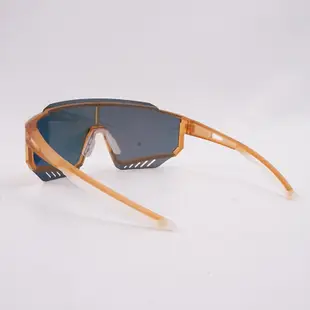GIANT 101 AP 偏光太陽眼鏡 附近視框 四色可選 戶外運動 自行車太陽眼鏡 吉興單車