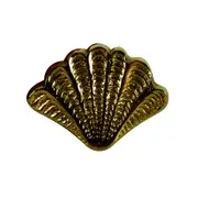 Maine & Crawford Belize 5x3cm Antique Brass Shell Knob For Drawer Home Furniture