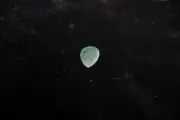 Stone Guitar Pick Made From Nephrite Jade