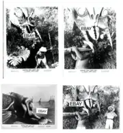 MONSTER FROM GREEN HELL 1958 MOVIE PHOTOS LOT #1 (4) GIANT WASP SCI-FI HORROR