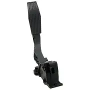 Accelerator Pedal Sensor WVE 5S15831