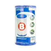 Intex Filter Type B Cleaning Replacement Cartridge for Intex Swimming Pool Pump