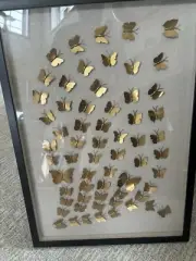 Pier 1 27.5” x 19.75” Black Framed Gold Butterfly 3-D Shadow Box Art Work