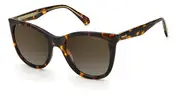 POLAROID-PLD 4096/S/X-86-5220-SUNGLASSES