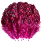 Pheasant Plumage Feathers 120pcs Natural 2-3 Inches for Thanksgiving Hot Pink