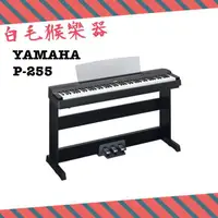 在飛比找蝦皮購物優惠-《白毛猴樂器》YAMAHA P255 P-255日本製數位鋼