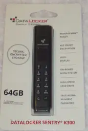 DataLocker Sentry K300 64GB Encrypted USB Drive SK30064