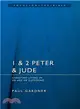 1 and 2 Peter and Jude ─ Christians Living in an Age of Suffering