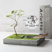 在飛比找蝦皮購物優惠-麋路花巷☆3D立體階梯樓梯多肉大長方盤盆栽花盆。香薰石膏模具