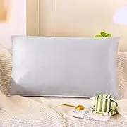 Standard Throw Pillow Extra Large Cushion Inner Pads 45x45 50x50 40x60 50x70 Cm,Lumbar Pillow with Zipper Decorative Pillows Stuffer with Cover for Bed Sofa Couch(Gray,40x60 cm)