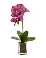 Nearly Natural Orchid Phalaenopsis Artificial Arrangement in Vase