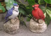 1245 Cardinal Bunting Grosbeaks Blue Jay Bird Latex Fiberglass Mold Concrete
