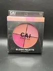 CAI Beauty NYC ~ Contour Palette ~ 40118 Light - NEW