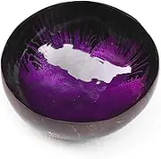 Natural Coconut Shell Bowl Decorative Bowl Rustic Home Decor Storage Bowl for Candy Nuts Snacks (Purple)