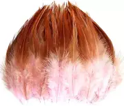 120Pcs 5-7" Pink Feathers for Crafts，Saddle Hackle Feather，Rooster Feathers Bulk