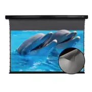 XGIMI VIVIDSTORM ALR Projector Screen Slimline Motorised Drop Down Black White