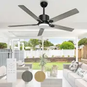 Ceiling Fan with Lights, 60" Ceiling Fans with Lights & Remote Indoor Outdoor DC