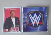 WWE Smackdown Women's Champion Championship Pin (Blue) Loot Slam Crate NEW!
